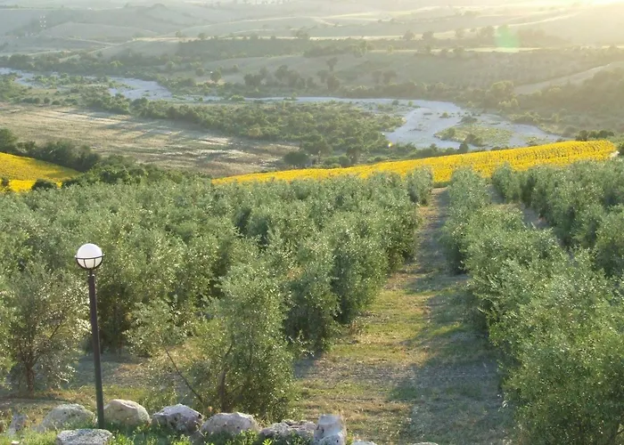 Bio Agriturismo Il Torrione