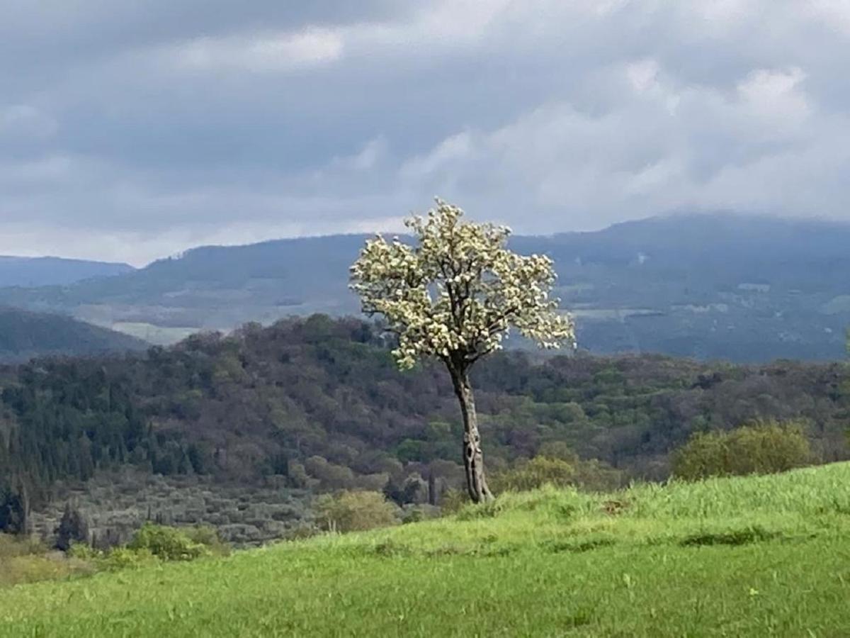 Bio Il Torrione *