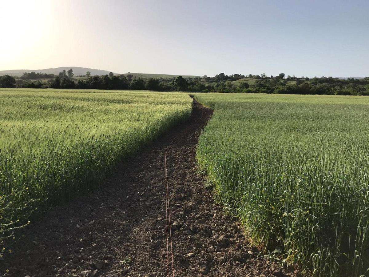Bauernhof Bio Il Torrione *