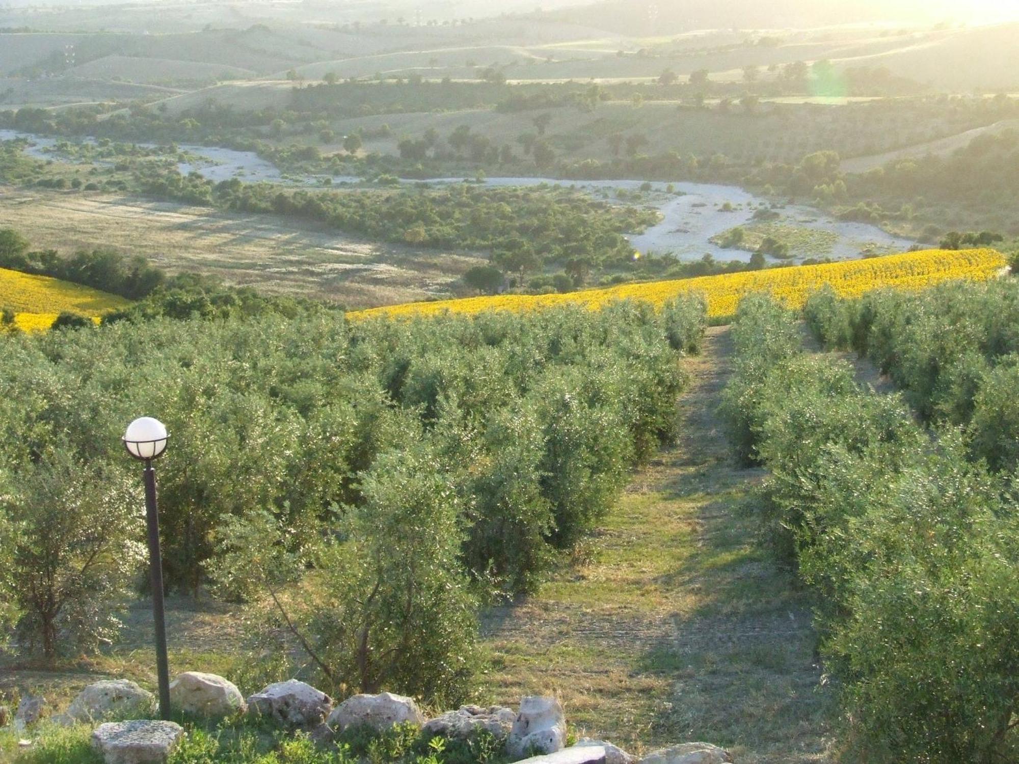 Bauernhof Bio Il Torrione Saturnia